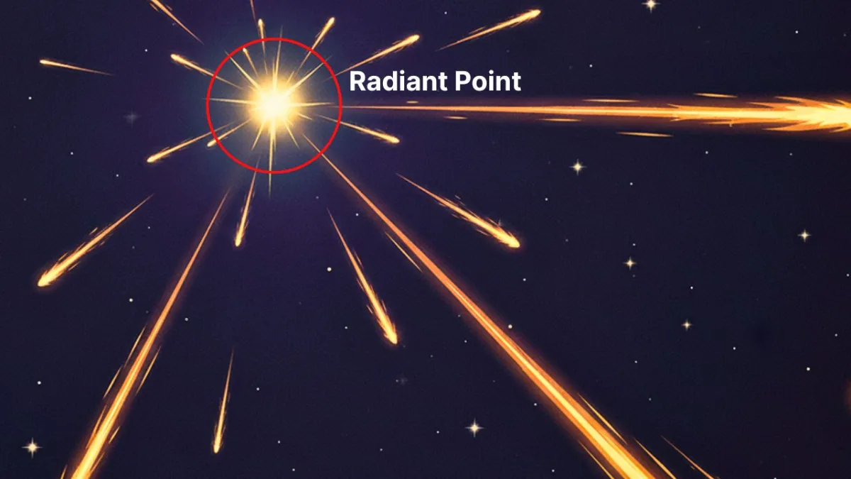 Radiant Point of meteor showers.