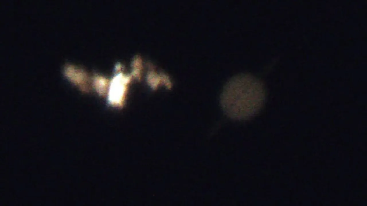 Single, raw Frame of ISS transiting Saturn.