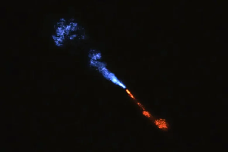 Earliest Stages of Planet Formation Captured Around Infant Star HOPS-315.