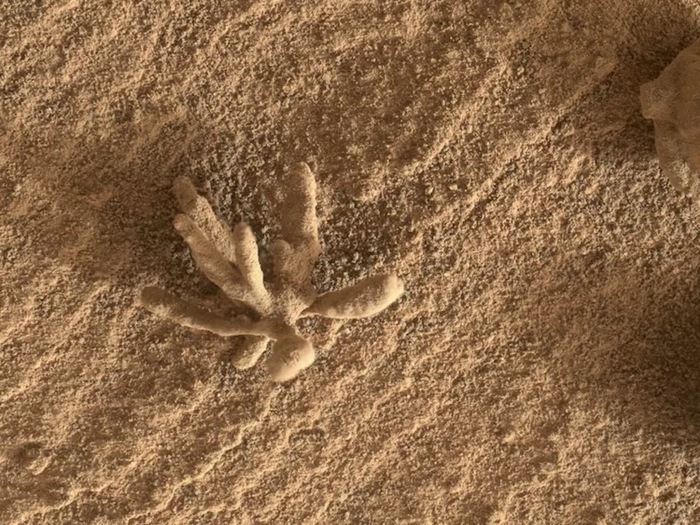 Flower-shaped structure on Mars.