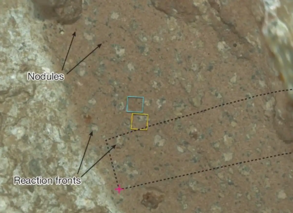Colorized SHERLOC ACI image highlighting the authigenic nodule reaction front features.