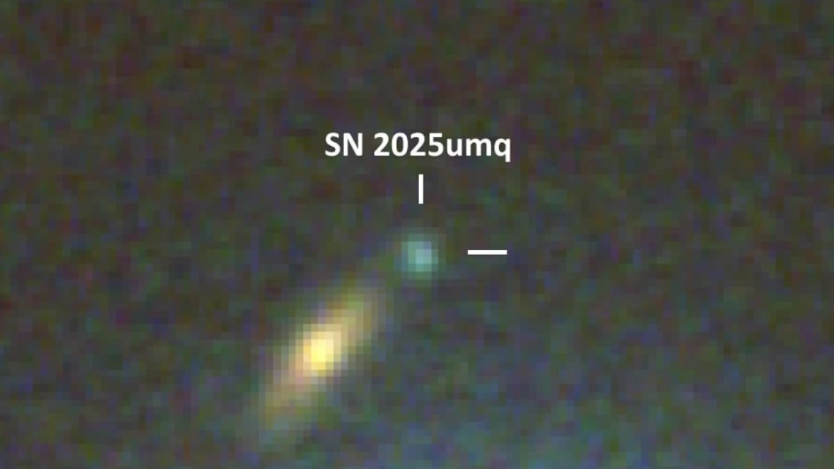 Supernova SN 2025umq