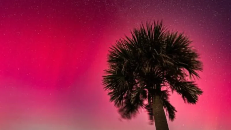 Auroras over Pensacola Beach, Florida.