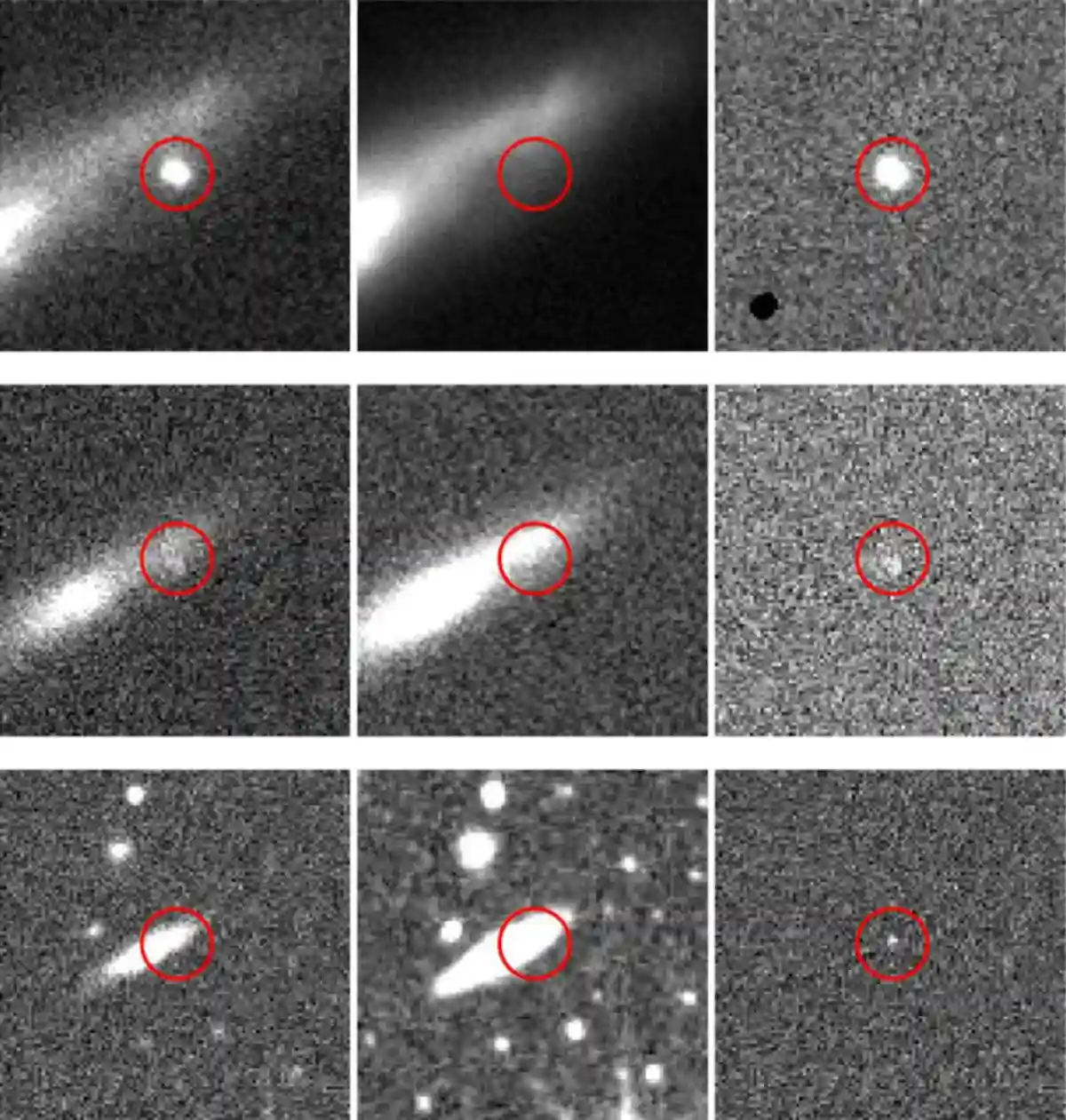 Gemini AI model stars survey.