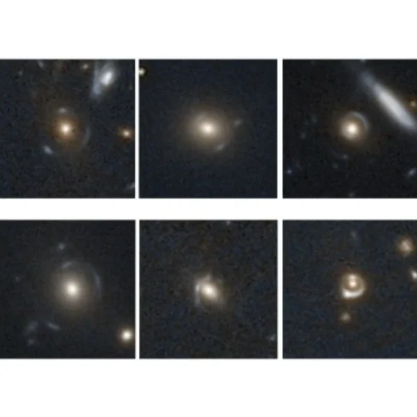 Euclid Images Show Real Data Can Transform AI Searches for Rare Gravitational Lenses