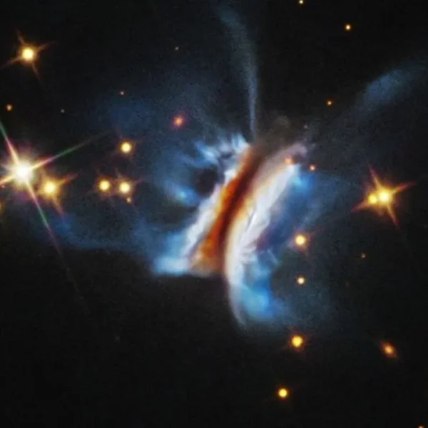 Hubble Captures largest Protoplanetary Disk ever Observed