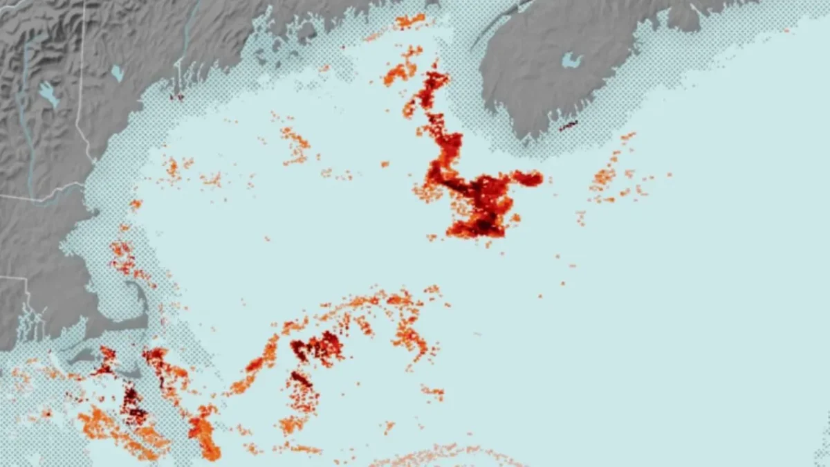 Satellites spot tiny Red Plankton that feed endangered Right Whales in the Gulf of Maine