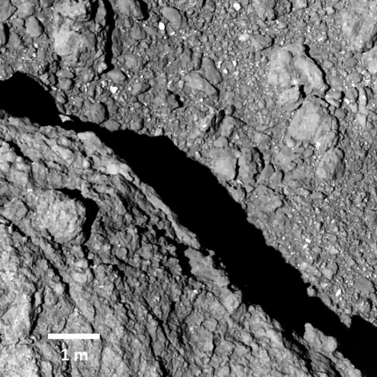 Magnetic Fields from Early Solar System found preserved in Asteroid Ryugu Samples